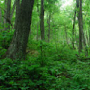 Meet your Posher, Daniil